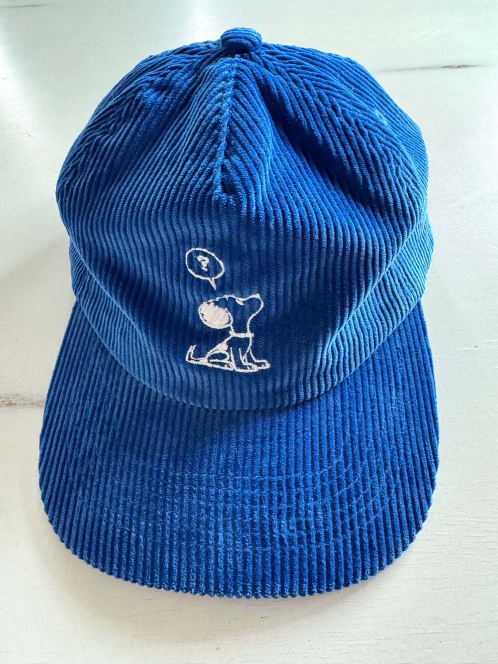 Peanuts Snoopy Corduroy Snapback Hat Blue Embroidered Cap SDCC exclusive